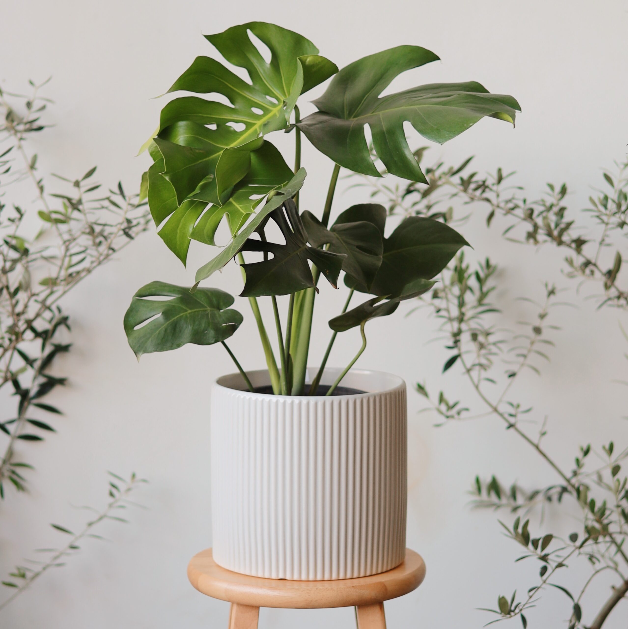 Processed with VSCO with al3pro preset