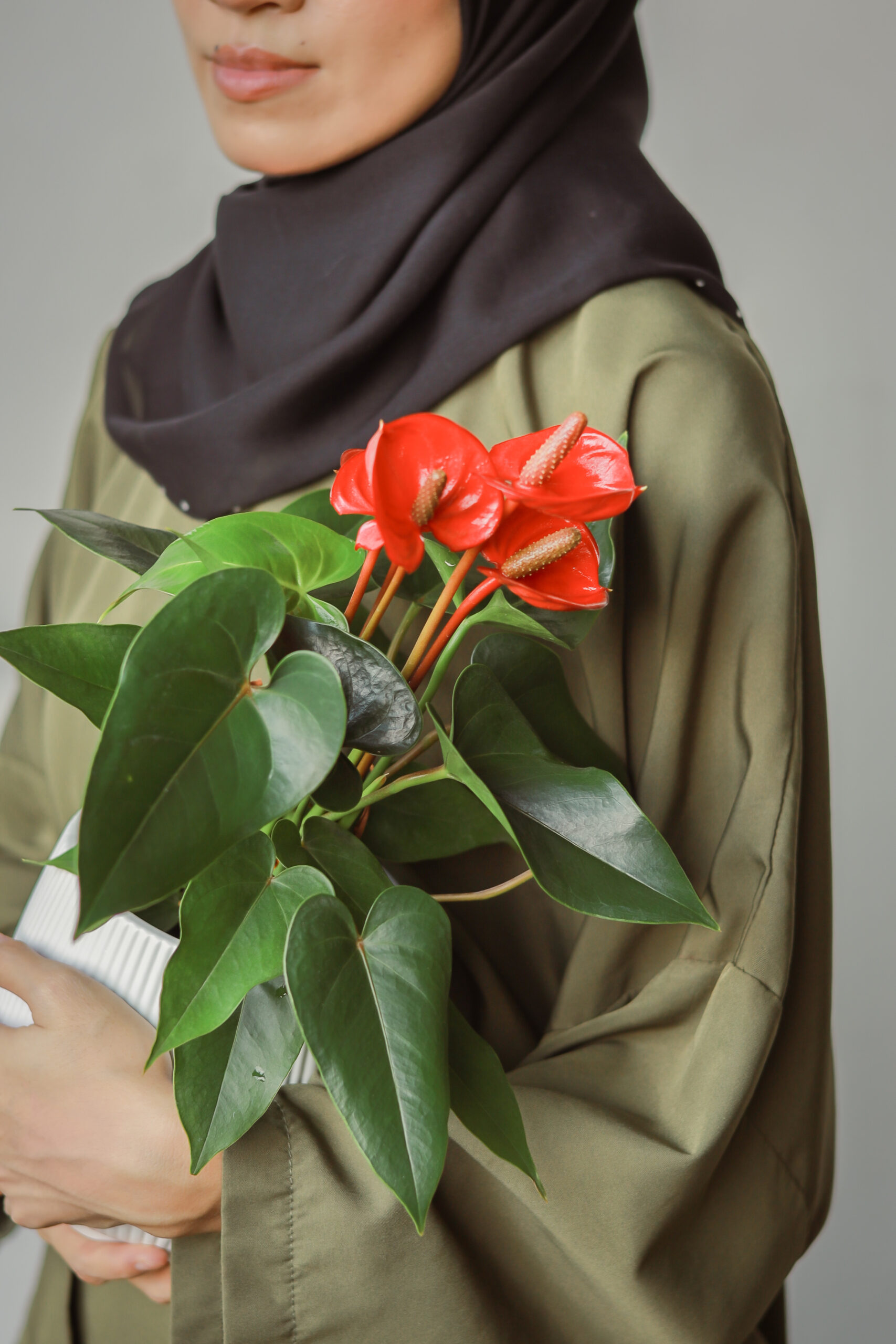 Anthurium Red Fiancee - Image 4