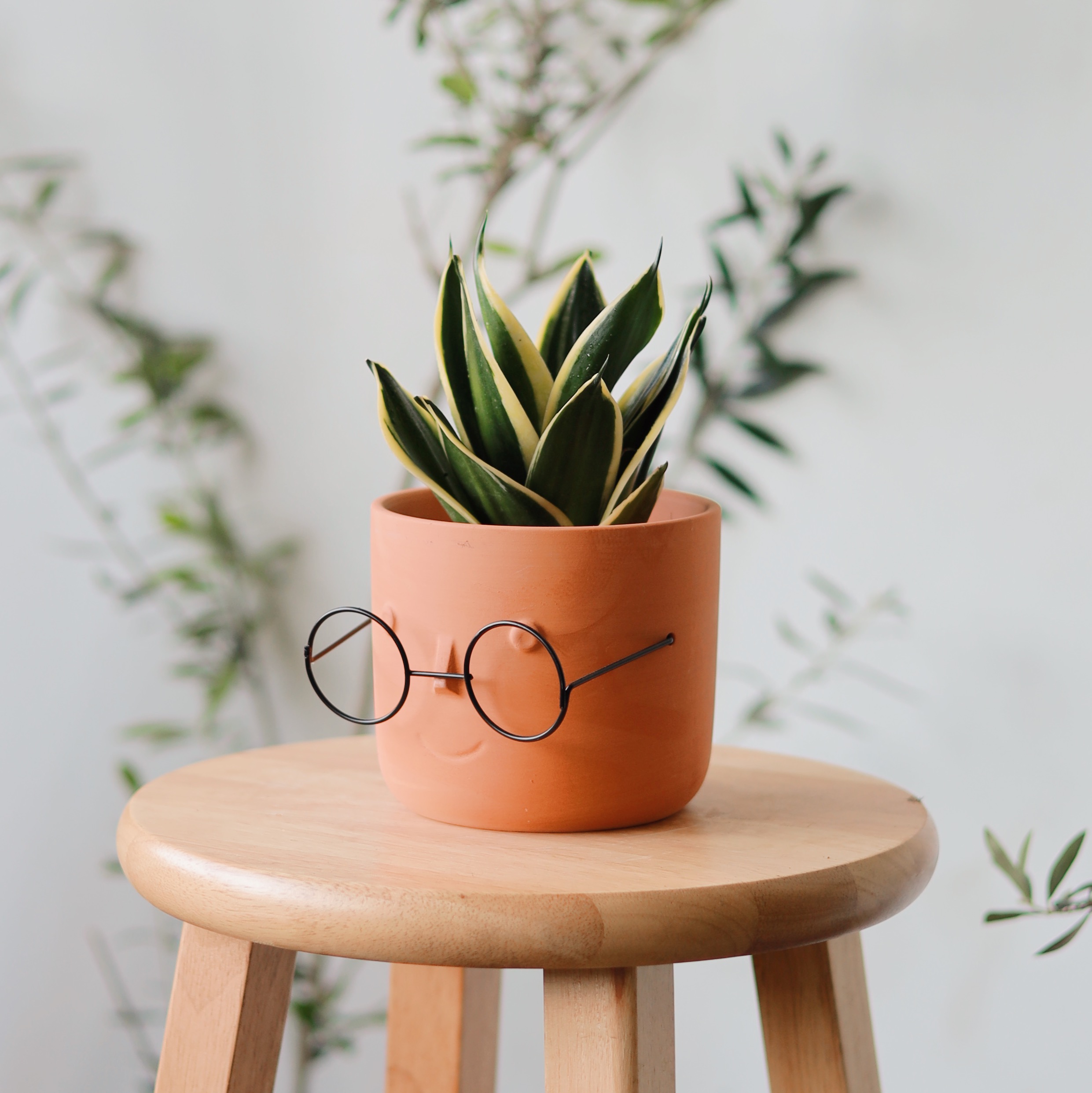 Processed with VSCO with al3pro preset