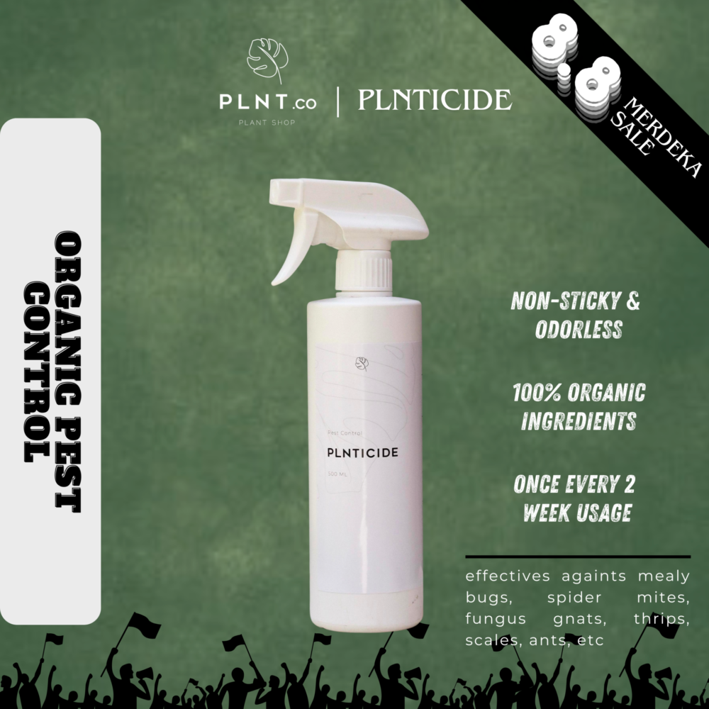 PLNTicide 500ml by PLNT.co/ Organic Pest Control Spray (pesticide)