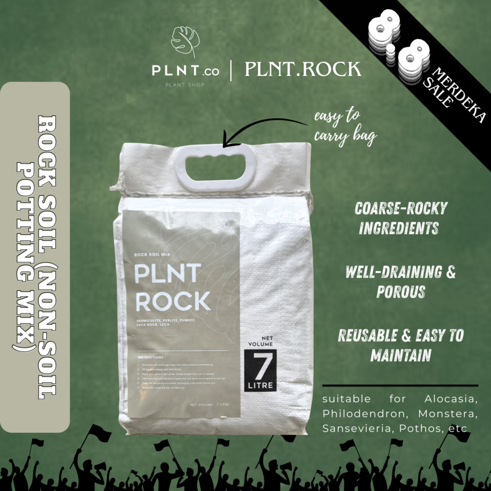 PLNT.Rock 7L by PLNT.co/ Rock Soil (Non-Soil Potting Mix for Indoor Plant)