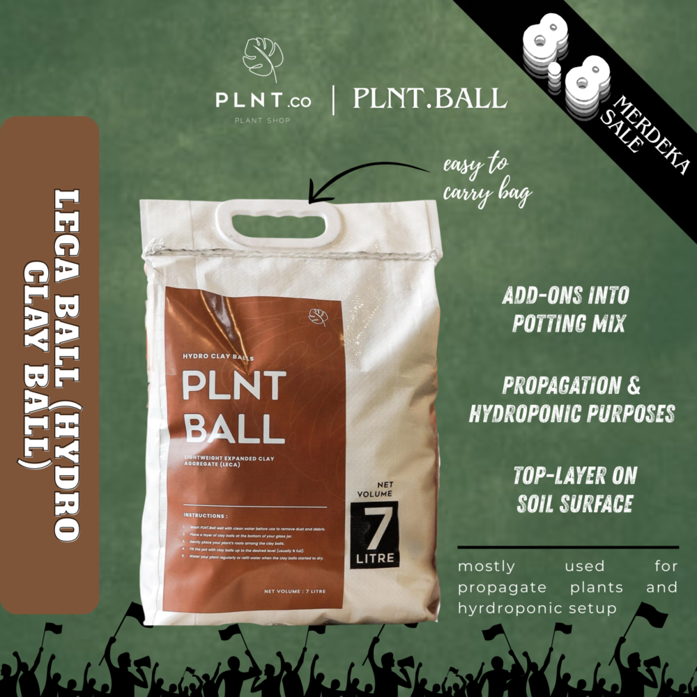 PLNT.Ball 7L by PLNT.co/ Hydro Leca Ball