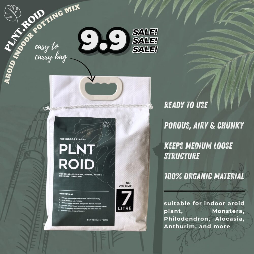 PLNT.Roid 7L by PLNT.co/ Aroid Potting Mix