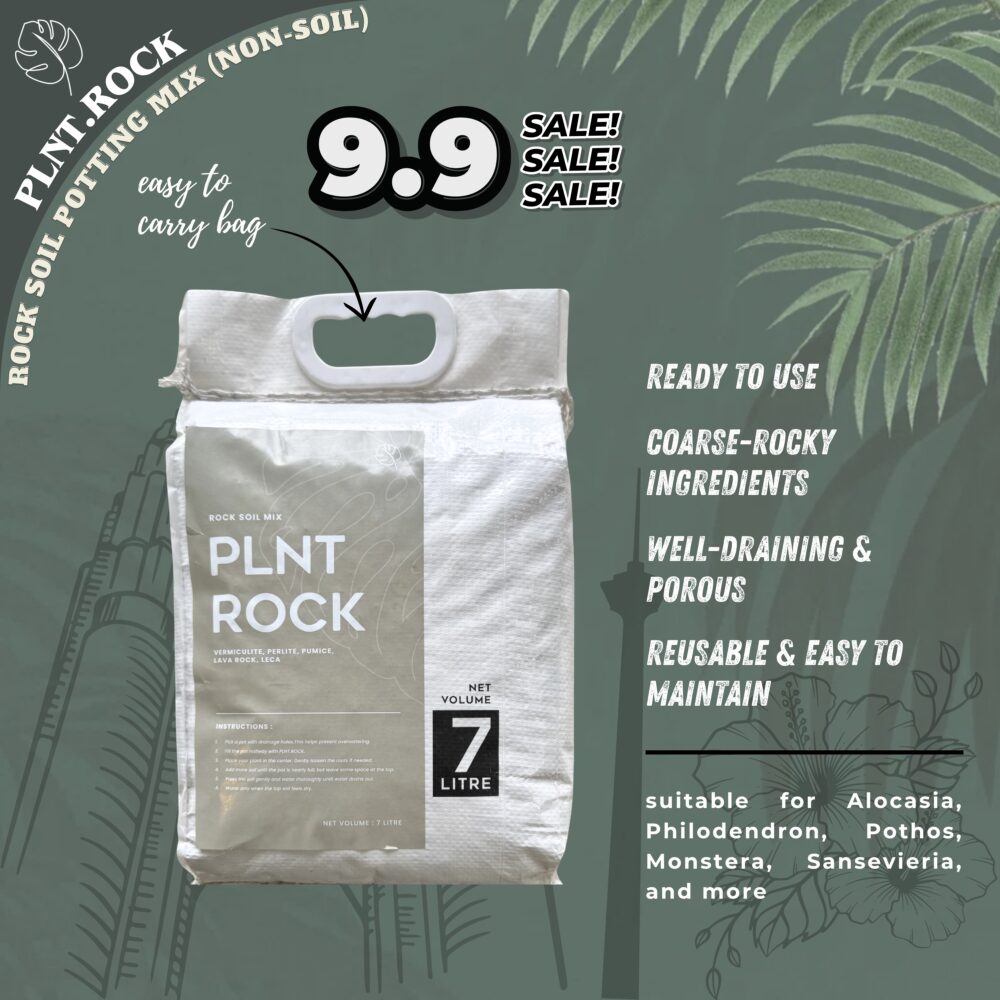PLNT.Rock 7L by PLNT.co/ Rock Soil (Non-Soil Potting Mix for Indoor Plant)
