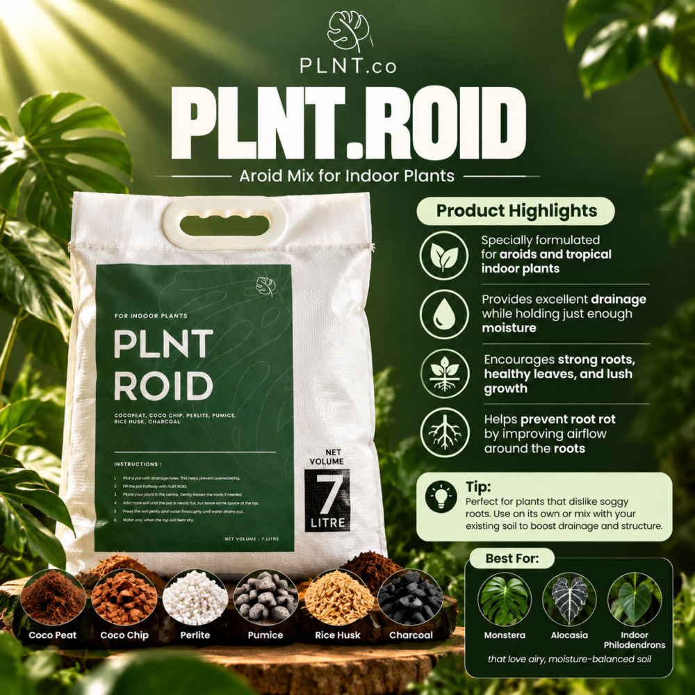 PLNT.Roid 7L by PLNT.co/ Aroid Potting Mix