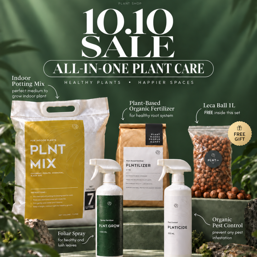 (SET) Indoor Plant Care | Plant Essential & Care