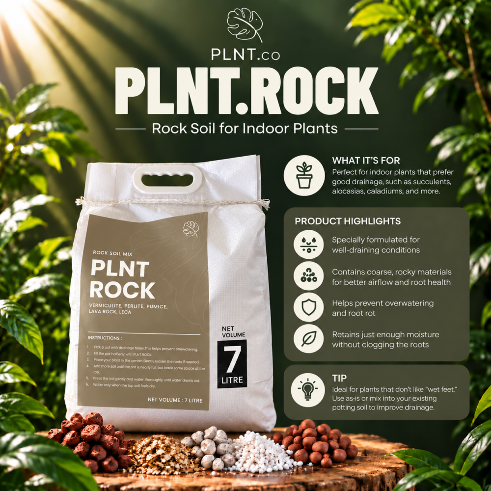 PLNT.Rock 7L by PLNT.co/ Rock Soil (Non-Soil Potting Mix for Indoor Plant)