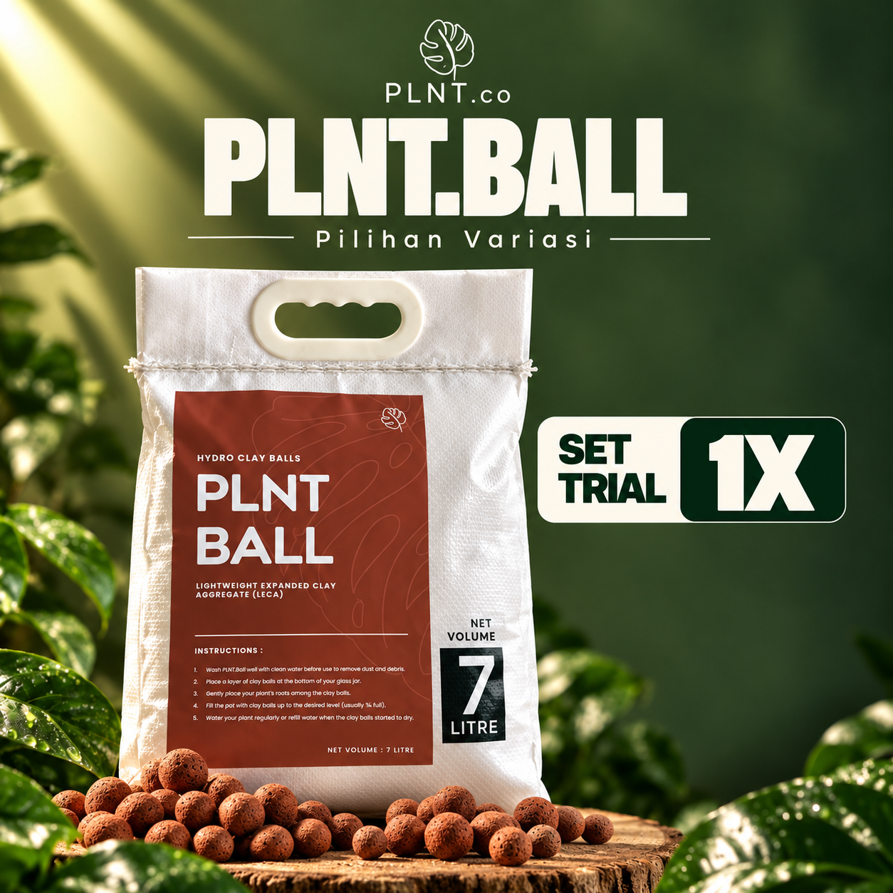 PLNT.Ball 7L by PLNT.co/ Hydro Leca Ball - Image 12